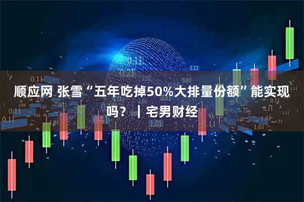 顺应网 张雪“五年吃掉50%大排量份额”能实现吗？｜宅男财经