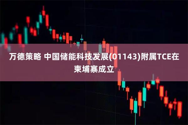 万德策略 中国储能科技发展(01143)附属TCE在柬埔寨成立